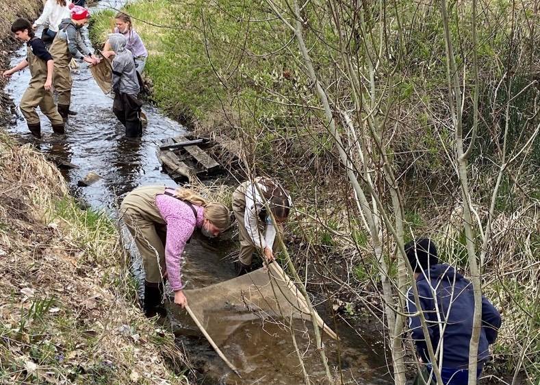 Students standing in stream sampling macros with net